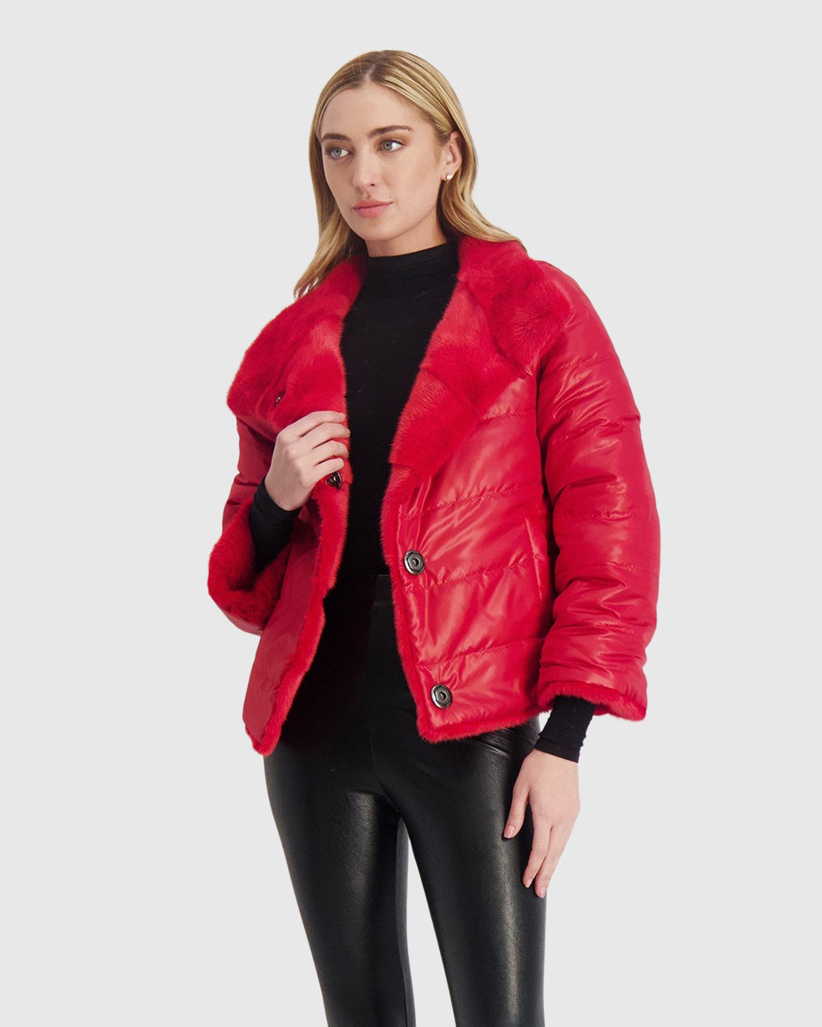 #Color_ROYAL RED