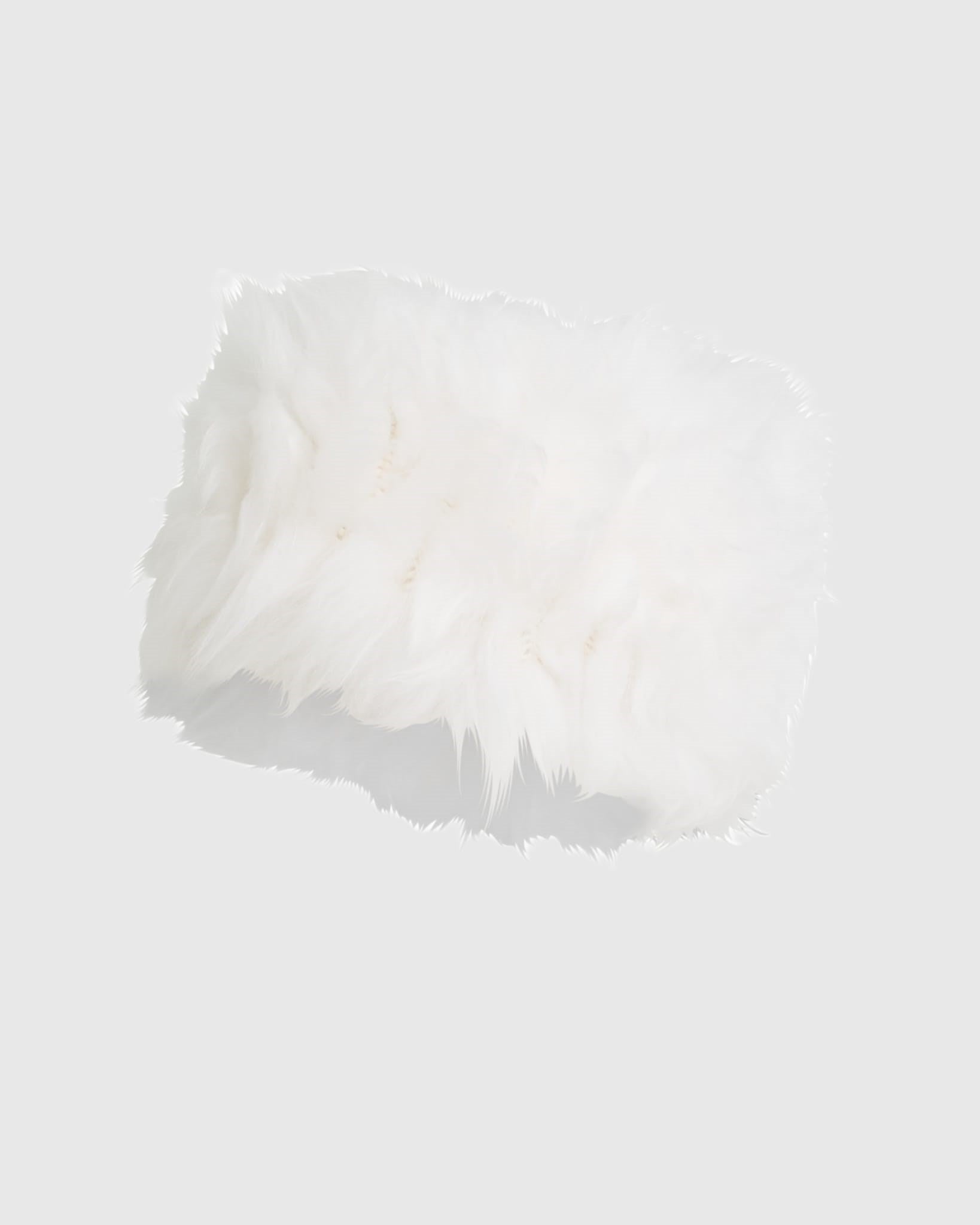 #Color_WHITE