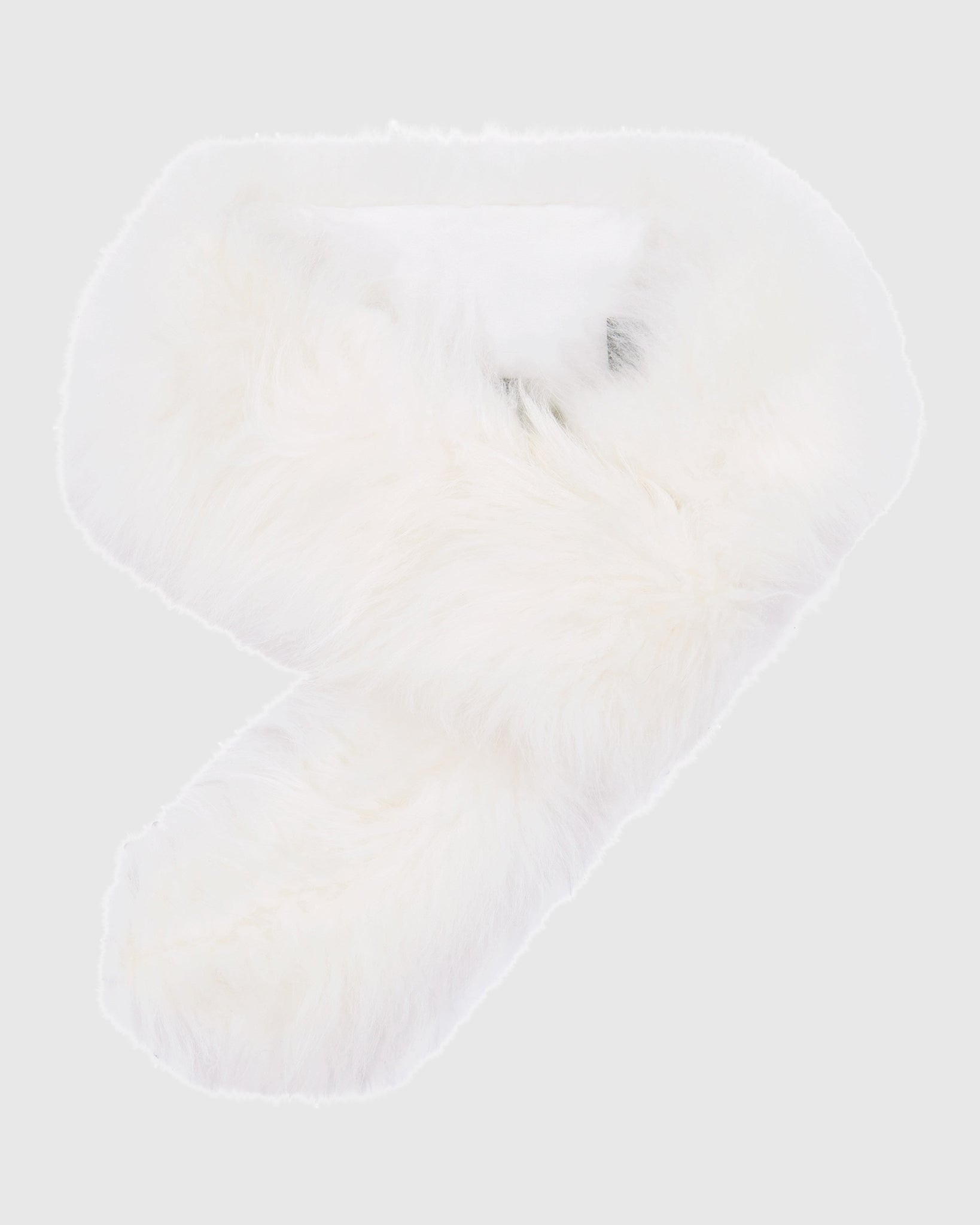 #Color_WHITE
