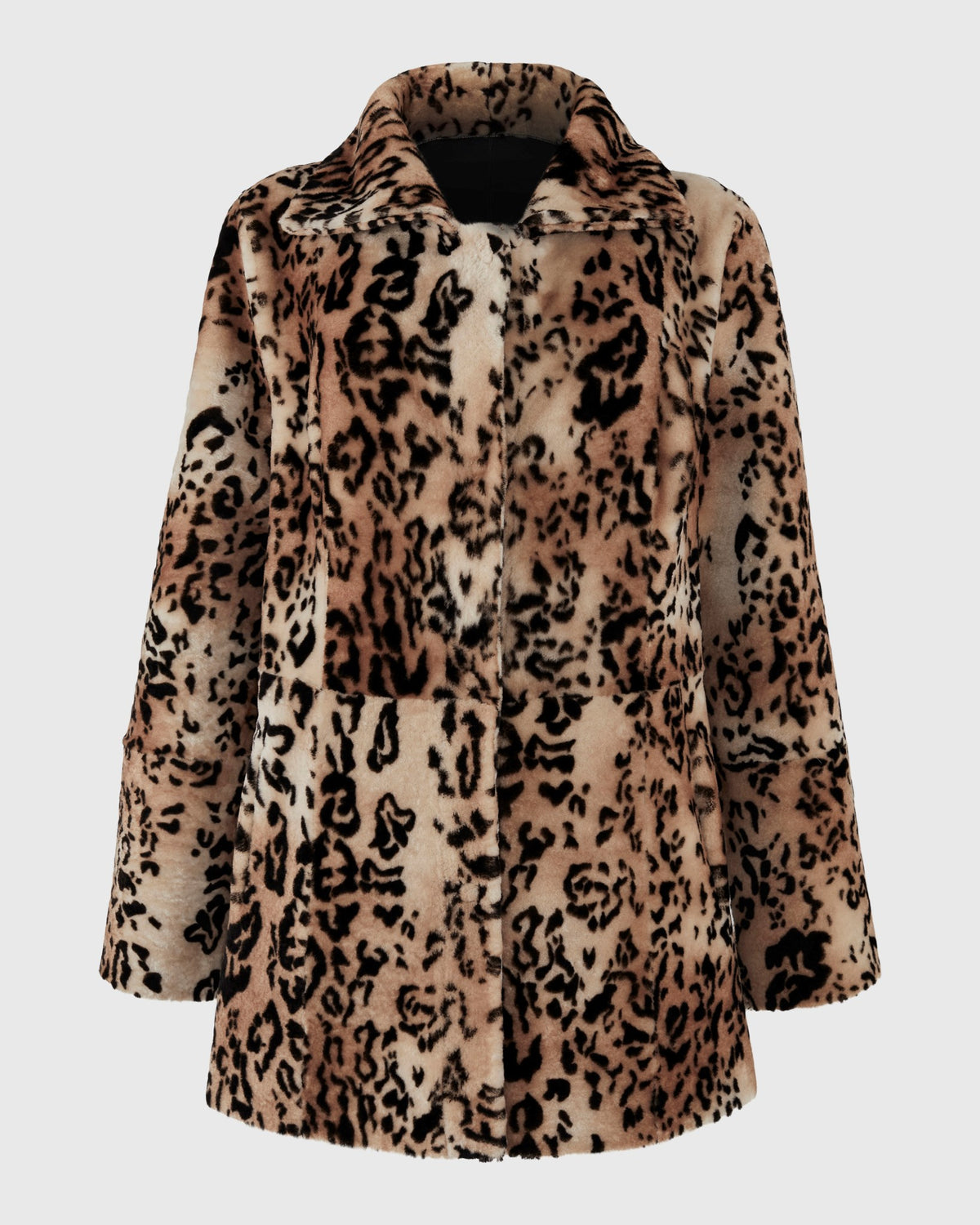 #Color_Brown/Lprd Print