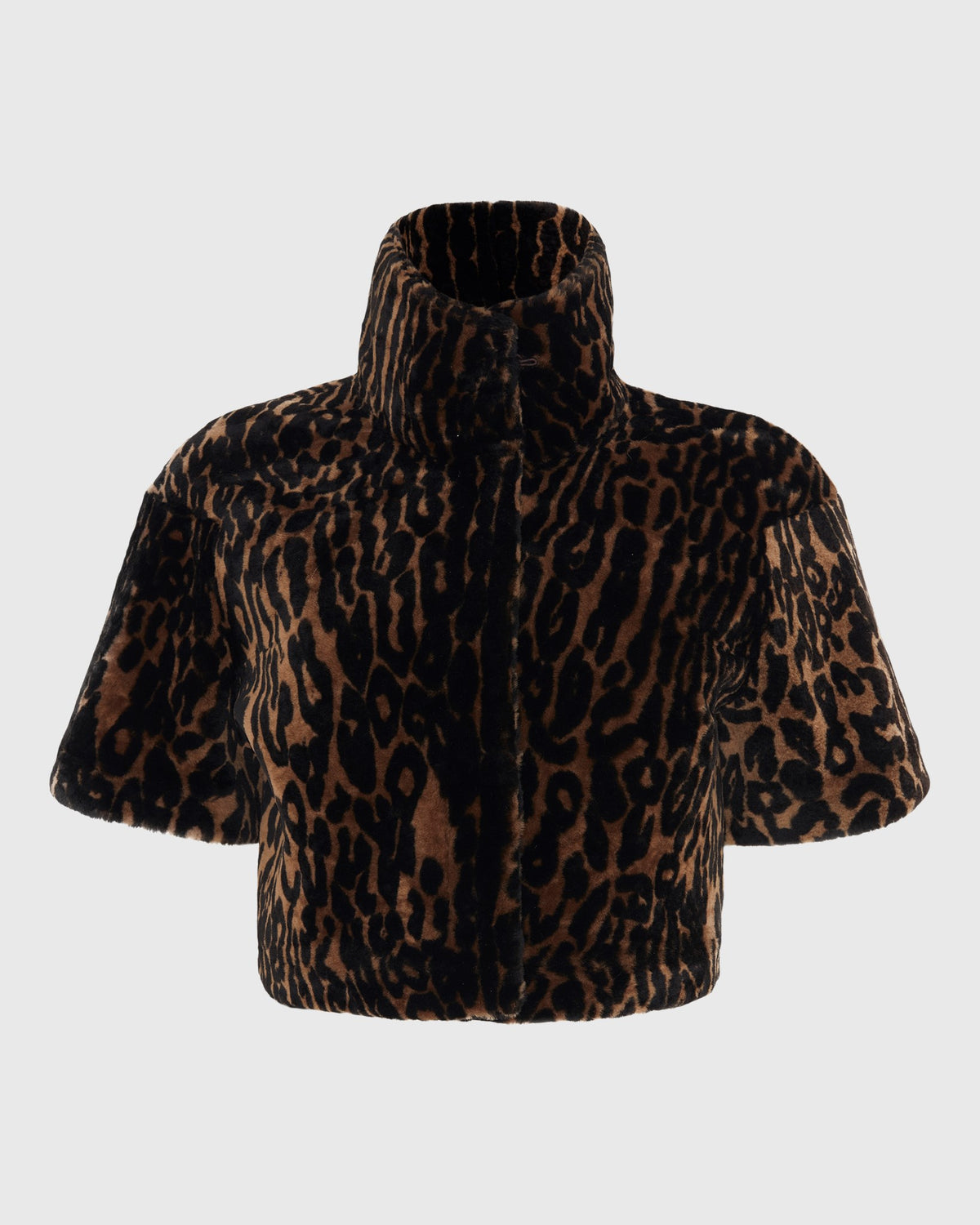 #Color_Camel Lprd Print