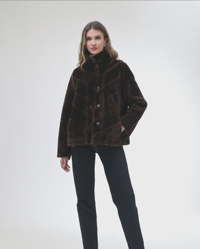#Color_BROWN/BLACK